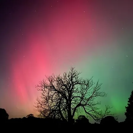 Tanyard Barn - North Yorkshire * 요크